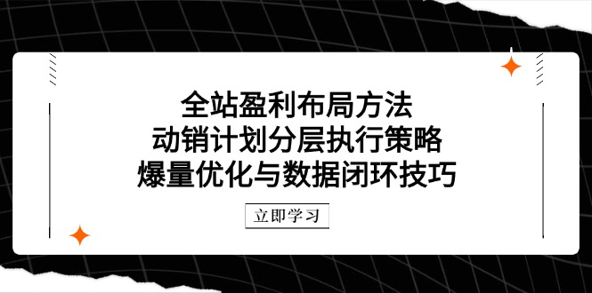 全站盈利布局方法：动销计划分层执行策略，爆量优化与数据闭环技巧-创业项目网