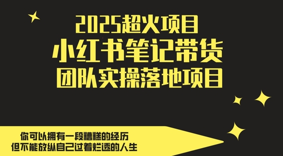 2025超火项目，副业最佳选择，小红书笔记带货团队实操落地项目，轻松日入500+-创业项目网