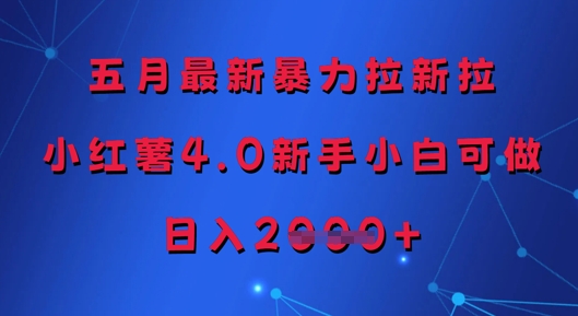 五月最新暴力拉新拉，小红薯4.0新手小白可做，日入多张-创业项目网