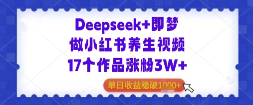 Deepseek+即梦做小红书养生视频，17个作品涨粉3W+，单日收益1000+-创业项目网