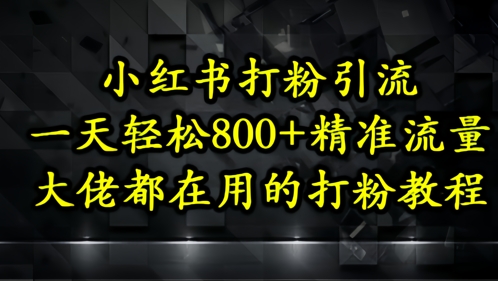 小红书打粉引流，一天轻松500+精准流量，大佬都在用的打粉教程-创业项目网