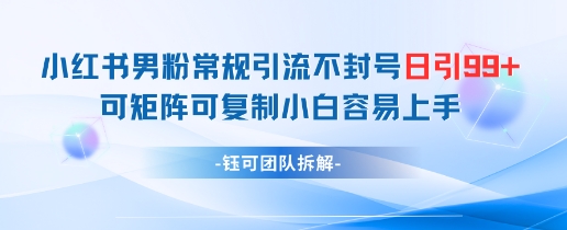 小红书男粉常规引流不封号日引99+变现简单 可矩阵可复制小白容易上手-创业项目网