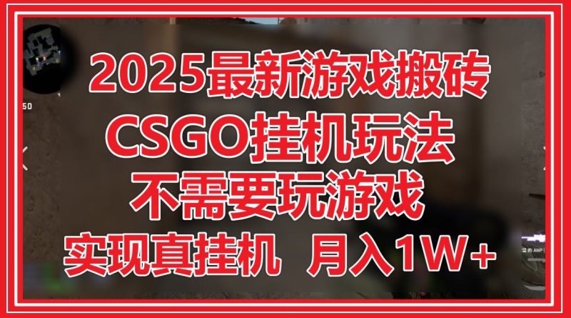 2025最新游戏搬砖，CSGO挂机，不需要玩游戏，实现真挂机，月入1W+-创业项目网