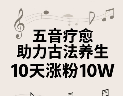 古法五音养生教程，五音疗愈的视频的制作方法，2-4小时就能学会，作者10天涨粉10W-创业项目网