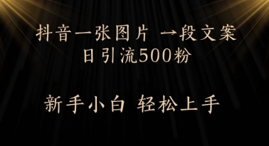 每天2分钟，抖音一张图片 一段文案日引流500粉-创业项目网