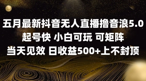 2025五月最新无人直播撸音浪，单日产出500+实操教程-创业项目网