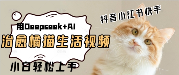 疯狂火爆，用Deepseek+AI做治愈橘猫系列视频，小白轻松制作+快速拿到结果-创业项目网