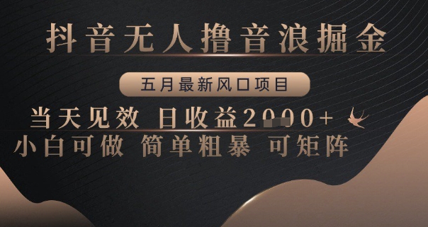 抖音无人撸音浪掘金，五月最新风口项目，当天见效，日收益多张，小白可做简单粗暴可矩阵-创业项目网