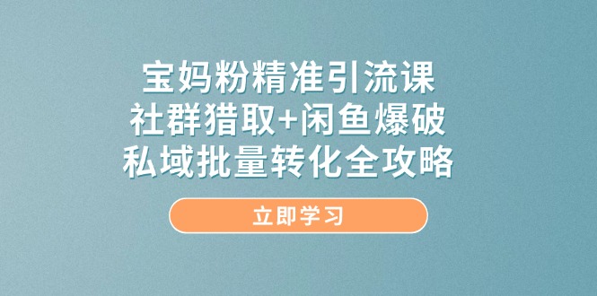 宝妈粉精准引流课，社群猎取+闲鱼爆破，私域批量转化全攻略-创业项目网