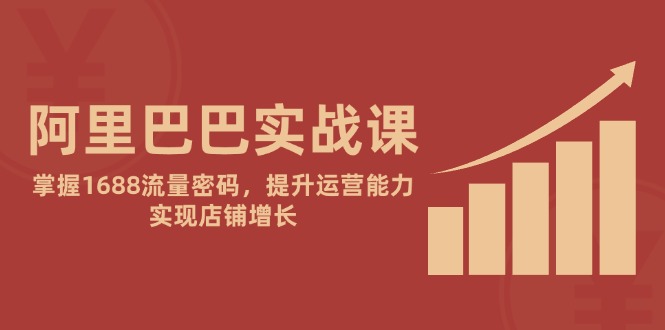 阿里巴巴实战课：掌握1688流量密码，提升运营能力，实现店铺增长-创业项目网