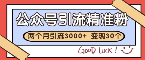 公众号精准粉引流玩法，2个月3000+精准粉，变现30个W-创业项目网