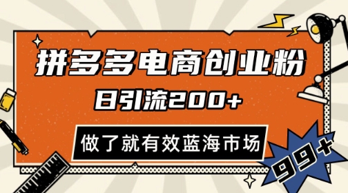 拼多多引流电商创业粉，日引200+，可矩阵放大，做了就有效-创业项目网