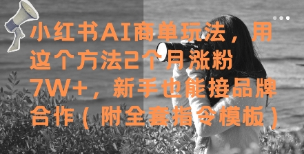 小红书AI商单玩法，用这个方法2个月涨粉7W+，新手也能接品牌合作(附全套指令模板)-创业项目网