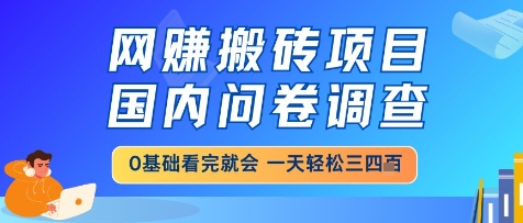网创搬砖项目，国内问卷调查，小白轻松上手，一天三四张的也不难，干就完了-创业项目网