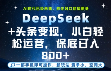 DeepSeek+头条变现，保姆级教学，小白轻松上手，日入800+-创业项目网