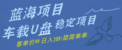 蓝海项目车载U盘稳定项目，挣的就是信息差，客单价99，日入500+简简单单-创业项目网