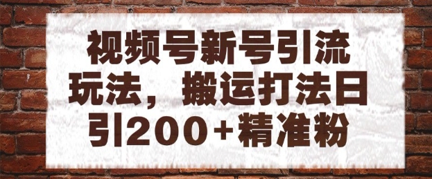 视频号新号引流玩法，搬运打法日引200+精准粉，可矩阵放大-创业项目网