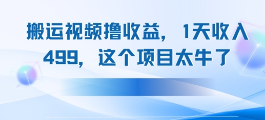 搬运抖音中视频撸收益，1天收入500+，这个项目太牛了-创业项目网
