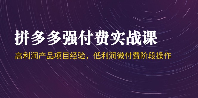 拼多多强付费实战课-44期，高利润产品项目经验，低利润微付费阶段操作-创业项目网