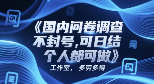 国内问卷调查，不封号，可日结，多劳多得，工作室，个人都可做-创业项目网