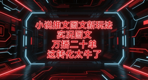 小说推文图文新玩法，实况图文，万播二十单，这转化太牛了-创业项目网