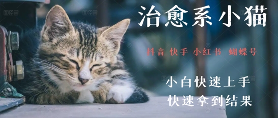 拆解，疯狂火爆！抖音，小红书，视频号小猫治愈的视频，轻松制作+快速拿到结果-创业项目网