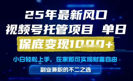 2025年最新风口，视频号托管项目，单日保底变现1k+，手把手教学-创业项目网