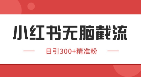 小红书截流同行客源，独家野路子获客玩法 日引200+暴力获客-创业项目网