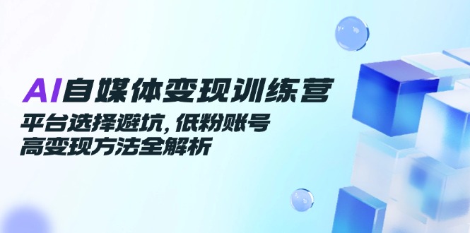 AI自媒体变现训练营，平台选择避坑，低粉账号高变现方法全解析-创业项目网