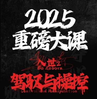 2025重磅大课，入世2，驾驭与控制-创业项目网