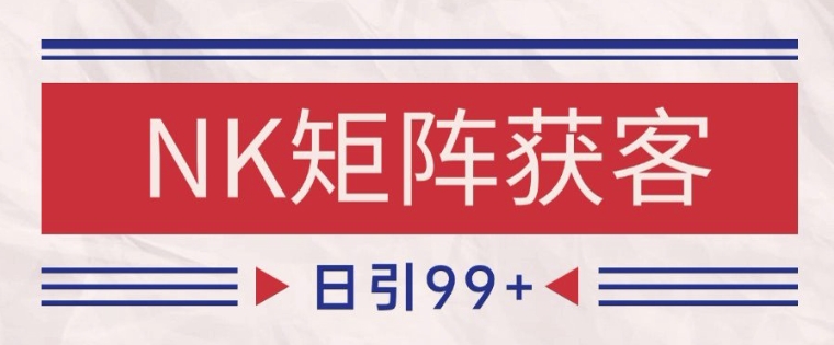 小红书某音NK赛道引流获客 自热矩阵日引200+-创业项目网