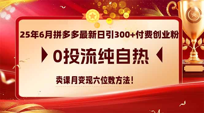 2025年6月拼多多最新日引300+付费创业粉，0投流纯自热 卖课月变现六位数方法-创业项目网