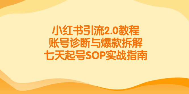 小红书引流2.0教程，账号诊断与爆款拆解，七天起号SOP实战指南-创业项目网