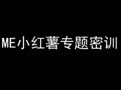 ME小红薯专题密训-小红书电商教程-创业项目网