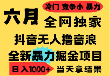 2025年6月高爆抖音无人直播最新撸音浪掘金项目，小白可做，无脑日入1k+，门槛低可批量矩阵-创业项目网