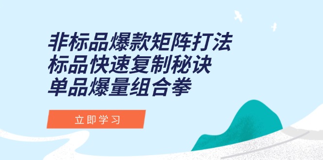非标品爆款矩阵打法，标品快速复制秘诀，单品爆量组合拳-创业项目网