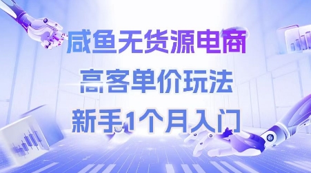 闲鱼无货源电商，高客单价玩法，新手1个月入门-创业项目网