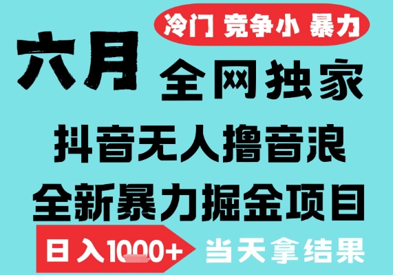 2025年6月高爆抖音无人直播最新撸音浪掘金项目，无脑日入1000+，低门槛小白可做，可矩阵放大-创业项目网