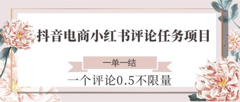 抖音电商小红书评论任务项目,一个评论0.5,一单一结 不限量-创业项目网