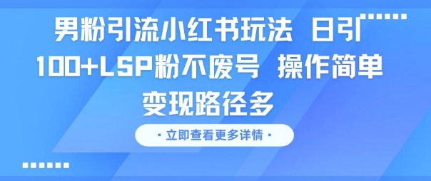 男粉引流小红书玩法，日引100+LSP粉不废号，操作简单，变现路径多-创业项目网