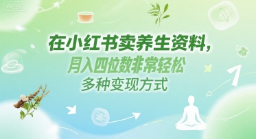 在小红书卖养生资料，月入四位数非常轻松，多种变现方式-创业项目网
