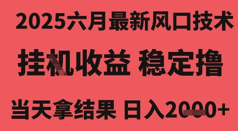 2025六月最新风口技术，无人挂机撸礼物，长期稳定 一个小时收益2k+，小白当天拿结果-创业项目网