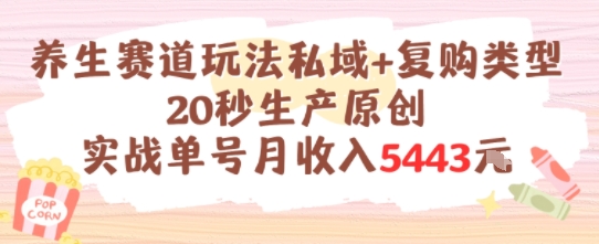 养生赛道玩法私域+复购类型，20秒生产原创实战单号月收入5000+-创业项目网