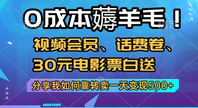 0成本薅羊毛!视频会员、话费卷、30元电影票白送，分享我如何靠转卖一天变现500+-创业项目网
