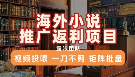 海外小说推广返利项目，视频投喂， 一刀不剪，矩阵批量-创业项目网