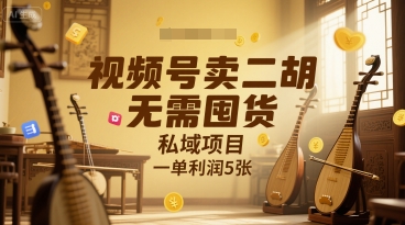 视频号卖二胡，无需囤货，私域项目，一单利润5张-创业项目网