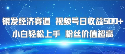 银发经济赛道 视频号日收益5张+ 小白轻松上手 粉丝价值超高-创业项目网