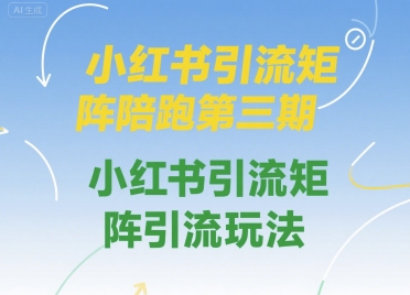 小红书引流矩阵陪跑第三期，小红书引流矩阵引流玩法-创业项目网