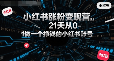 小红书涨粉变现营，21天从0-1做一个挣钱的小红书账号-创业项目网