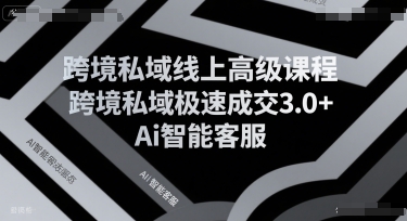 跨境私域线上高级课程，跨境私域极速成交3.0+Ai智能客服-创业项目网